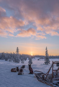 Scenic view of snow against sky during sunset