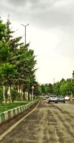 Cars on road by trees in city against sky