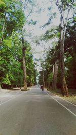 Empty road along trees