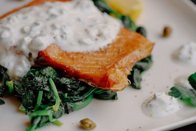 Close-up of meal served in plate