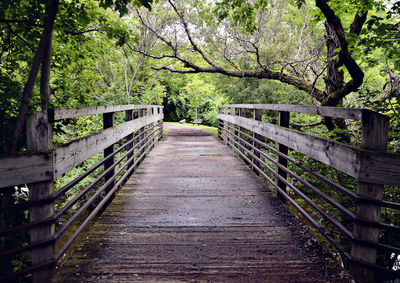 Wooden footbridge in forest