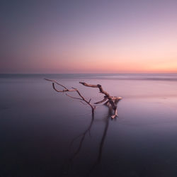 Scenic view of sea against clear sky at sunset