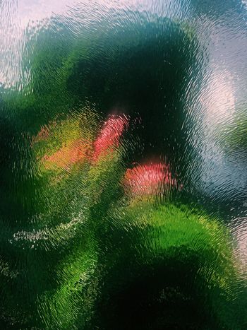 FULL FRAME SHOT OF WET WINDOW IN RAINY SEASON