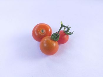 Close-up of tomatoes against white background