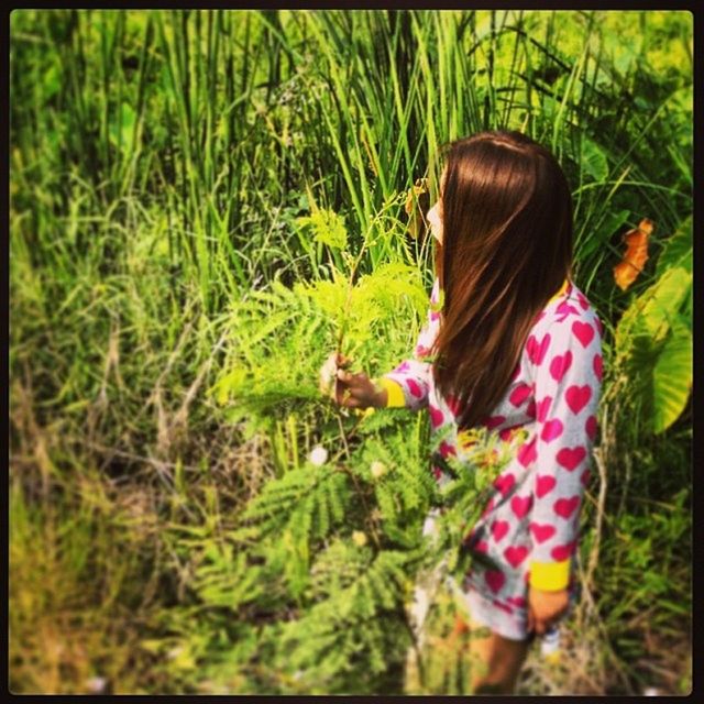 transfer print, lifestyles, auto post production filter, leisure activity, casual clothing, grass, field, childhood, girls, elementary age, person, waist up, standing, long hair, young women, green color, grassy