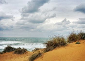 Scenic view of beach against sky