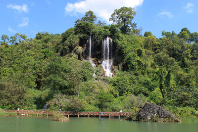 Scenic view of waterfall in forest