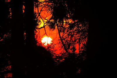 Scenic view of sky at night