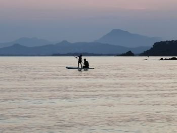 Silhouette people paddleboarding on sea during sunset