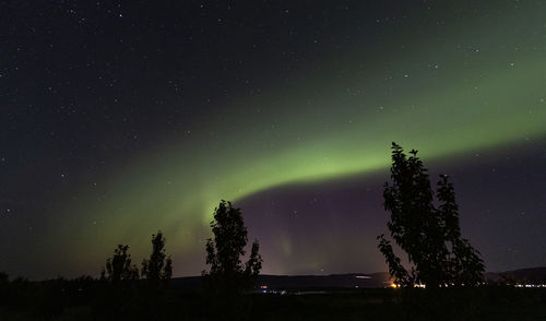 Low angle view of silhouette trees against sky at night