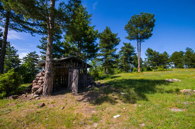 Built structure on field against trees