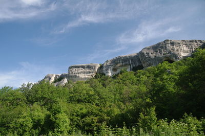 Plants growing on land against sky