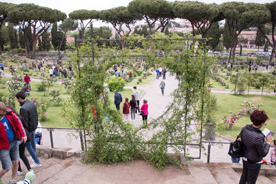 High angle view of people walking in park
