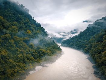 Scenic view of river amidst trees against sky