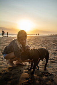 View of dog on beach during sunset