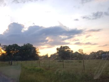 Scenic view of field against sky during sunset