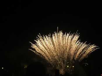 Fireworks exploding in night sky