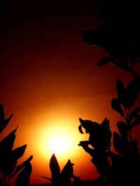 Silhouette birds against sky during sunset