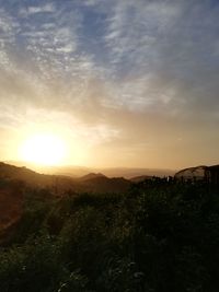 Scenic view of field against sky during sunset