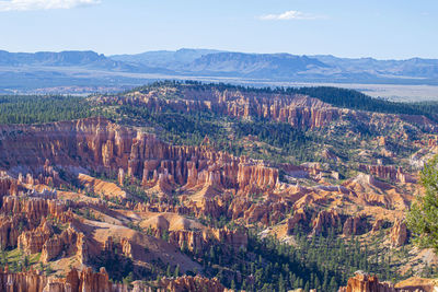 High angle view of trees on landscape