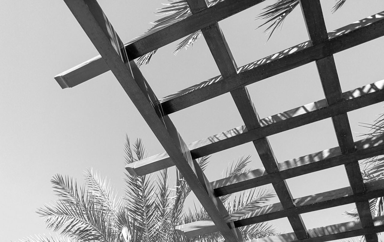 LOW ANGLE VIEW OF PALM TREES AGAINST SKY