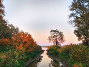 River amidst trees against sky during autumn