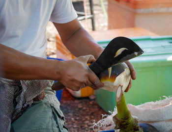 Midsection of man slicing tropical fruit