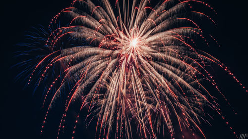 Low angle view of firework display at night