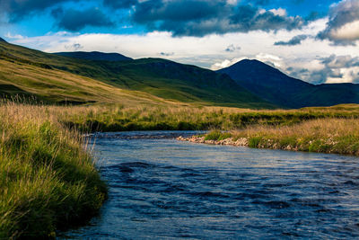 Scenic view of landscape