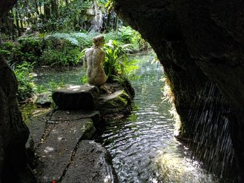 Stream flowing through forest
