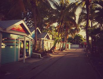 Trees in front of building