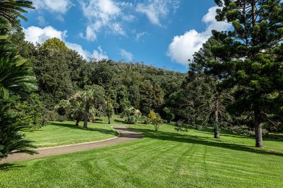 Trees on field against sky