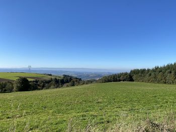 Scenic view of landscape against clear sky