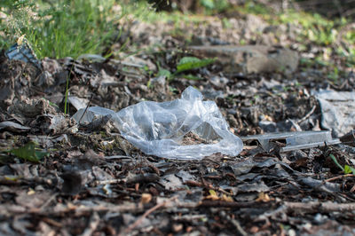 Plastic bag and trash in the forest. environmental pollution. environmental issue and disaster.