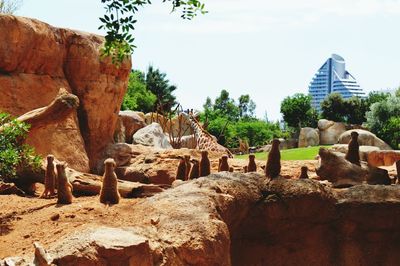 Low angle view of old ruins