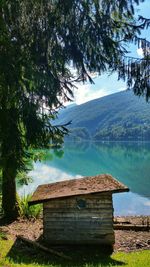 Reflection of trees in calm lake