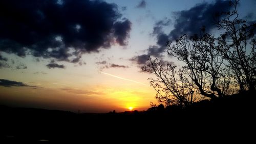 Silhouette of trees at sunset