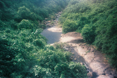 High angle view of trees on landscape