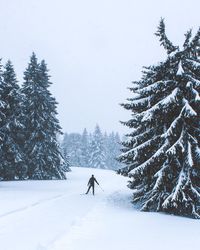 Man skiing on snow covered landscape