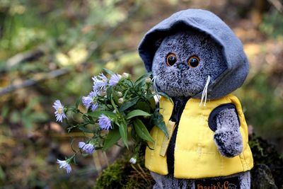 Close-up of a flower against blurred background