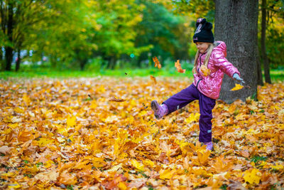 A girl throws up a lot of yellow maple leaves