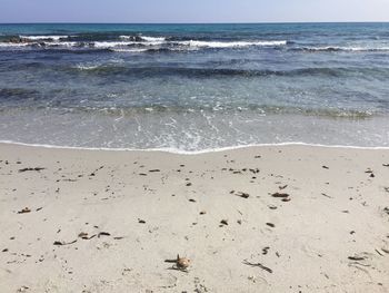 Scenic view of beach