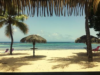 Palm trees on beach against sky