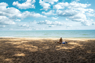 Rear view of people sitting on beach