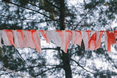 Low angle view of clothes drying against bare trees
