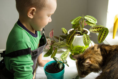 Boy and cat by potted plant