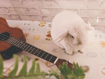 Close-up of white playing piano against wall