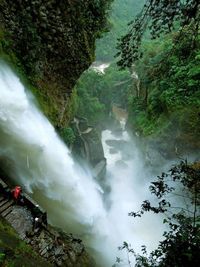 Scenic view of waterfall