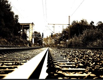 Surface level of railway tracks along trees