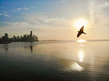 View of birds flying over sea